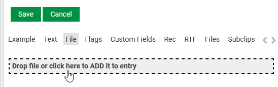 DetailsDropFile.png