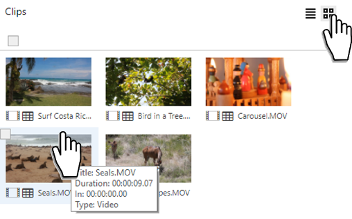 RCE_thumbnail_view.png
