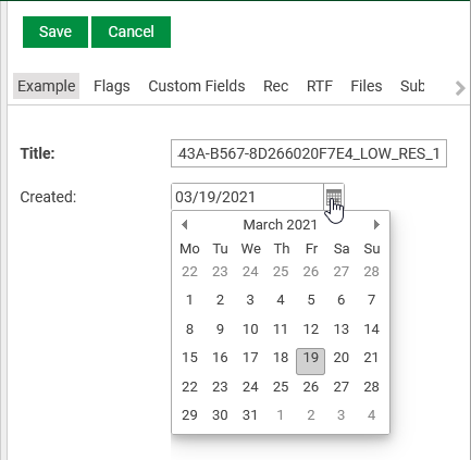CmDetailsPane_DatePicker.png