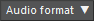 Audio format.png
